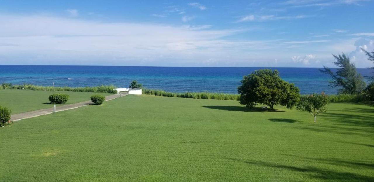 C'Daview Apartment Suite Montego Bay Exteriör bild
