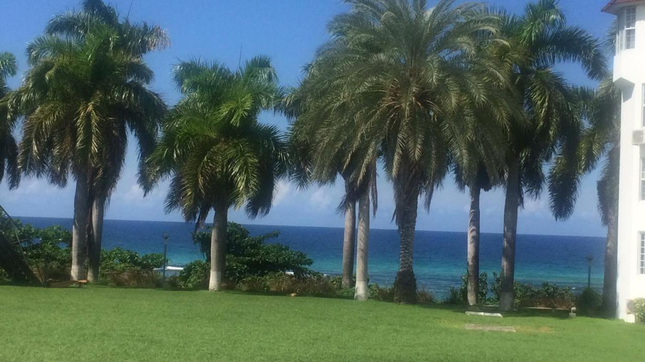 C'Daview Apartment Suite Montego Bay Exteriör bild